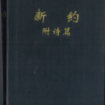 Chinese New Testament with Psalms