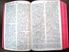 The SBV Bible horizontal text