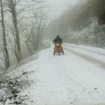 wanghai-snow
